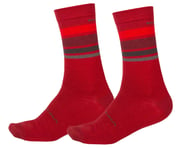Endura BaaBaa Merino Stripe Sock (Red) | product-related